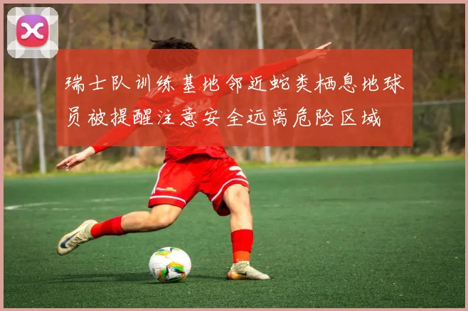 瑞士队训练基地邻近蛇类栖息地球员被提醒注意安全远离危险区域